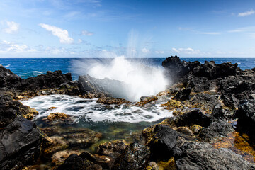 Bord de mer