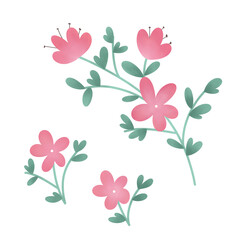 pink flower background set