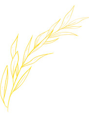 Luxury premium PNG Botanical illustrations leaf flower gold line art transparent background