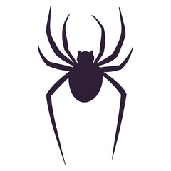 spider isolated