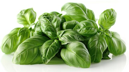 Green basil leaves with a vivid sheen, exuding freshness and the aromatic essence of herbs on a clean white background - obrazy, fototapety, plakaty