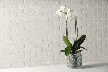 Blooming orchid flower in pot on white table against light brick wall, space for text