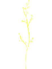 Luxury premium PNG Botanical illustrations leaf flower gold line art transparent background