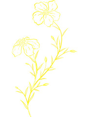 Luxury premium PNG Botanical illustrations leaf flower gold line art transparent background