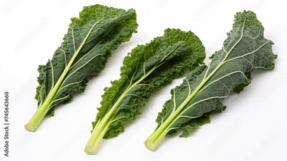 Poster three vibrant green kale leaves captured in a close-up realistic photo against a white background ge