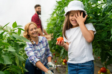 Family with happy child gardening on farm, growing organic vegetables. People harvest food concept.