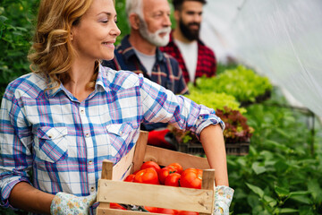 Friendly farmer team harvesting fresh vegetables from the rooftop greenhouse garden. Agriculture.