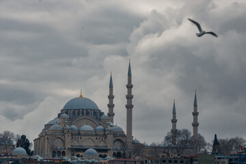 Fototapeta na wymiar Suleymaniye Mosque and seagull with dramatic clouds.