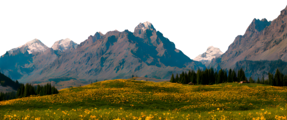 analog-style-landscape-sky-presiding-over-towering-mountains-nestled-below-is-a-flower-garden-var