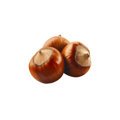 Obraz premium Chestnut isolated on a white background.