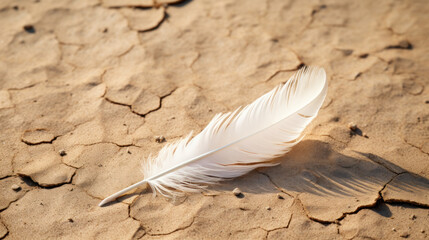 White feather on cracked earth symbolizing hope in aridity