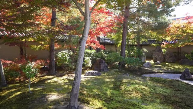 京都　高台寺の方丈前庭と紅葉