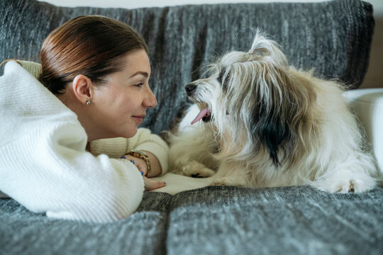 Smiling woman lying face to face with dog on sofa at home