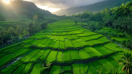 Foto op Plexiglas An aerial shot captures the stunning and intricate patterns of verdant rice terraces carved into the landscape, surrounded by tropical foliage. © feeling lucky
