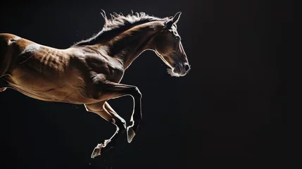 Foto op Plexiglas Horse jump on a black background. Flying animal. © Vladimir