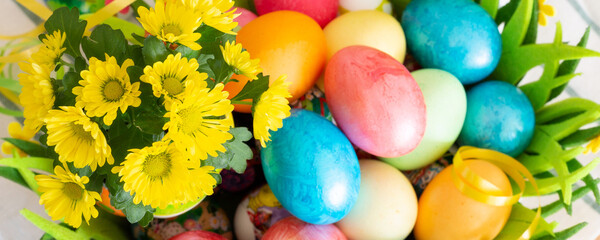 Fototapeta na wymiar Easter eggs and yellow flowers still-life banner