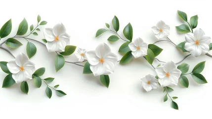 Poster elegant white magnolia flowers and green leaves on a branch for serene nature design © pier