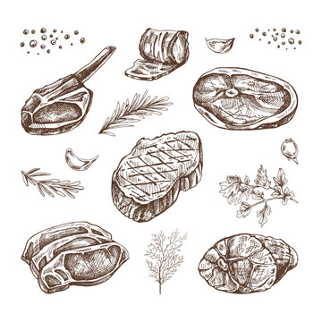 Set of hand-drawn sketches of barbecue meat pieces with herbs and seasonings. For the design of the menu of restaurants and cafes, steaks. Vintage doodle illustration. The engraved image.