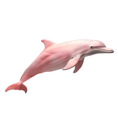 pink dolphin isolated on transparent background, png