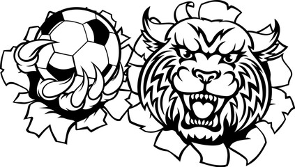 A wildcat bobcat cat cougar animal sports mascot holding soccer football ball breaking through the background with its claws