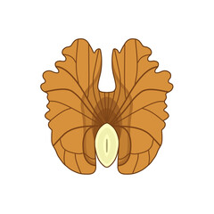 茶色のクルミ（食べ物）