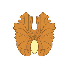 茶色のクルミ（食べ物）