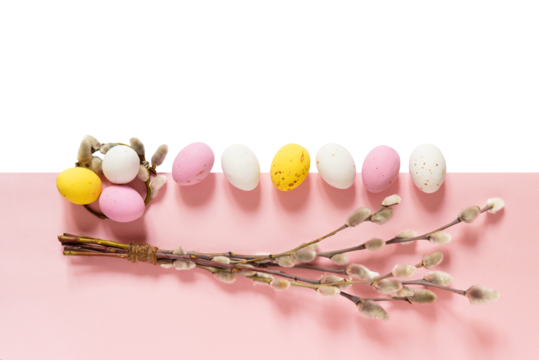 Easter multicolored pastel eggs and willow catkins on pink and isolated transparent background. Png. Empty copy space.