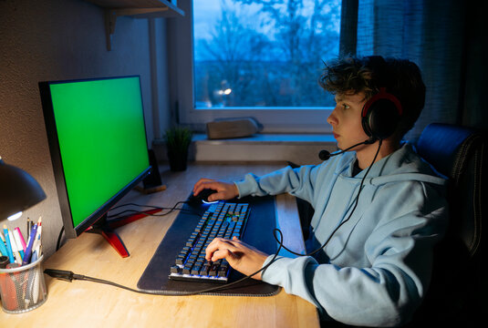 Teenage boy playing video game on computer at home