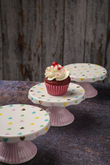 Cupcake on small ceramic plate with wooden bottom with copy space. Product photo.