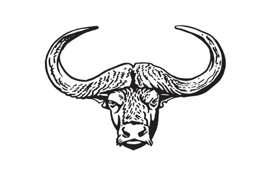 Graphical portrait of bull on white background,vector illustration for brand logo, tattoo and design