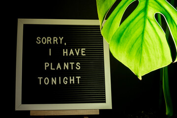Funny joke idea inscription saying SORRY I HAVE PLANTS plans TONIGHT Monstera silhouette leaf in...