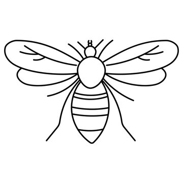 Wasp icon. Flying colored striped insect. Production of healthy eco honey. Spring, summer period. Wings, legs. Hand drawn vector illustration. icon, element, object, logo, line, doodle, coloring