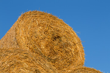 Piled hay bales on a field against blue sky