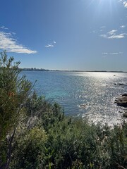 Royal National Park, NSW Australia