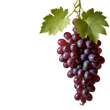 Grape image isolated on a transparent background PNG photo