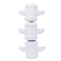 Spine 3D Icon. human spine bones structure anatomy 3d icon