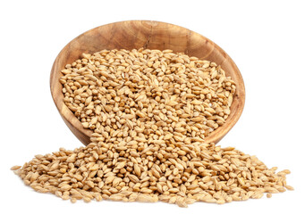 wooden cup of barley isolated on a white background