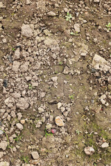 Top view of soil texture. Earth background, dirty hard clay. Barren field, drought. Field problems, dry terrain