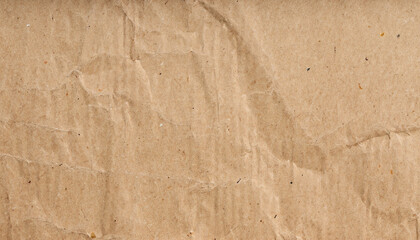 Fototapeta na wymiar Brown wrinkle recycle paper background, old texture of cardboard sheet