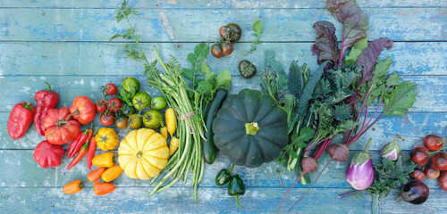 Panoramic food background with assortment of colorful organic vegetables on a blue wooden table. Top view.