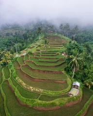 Foto op Plexiglas Rice terrace aerial scenery © Didik