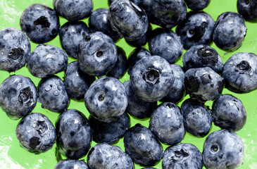 Fresh ripe juicy blue blueberry. Natural and healthy berry concept.Harvest, crop. Blueberry background. Filling the screen with large ripe blueberries. Top view. Vegan sweet food, market