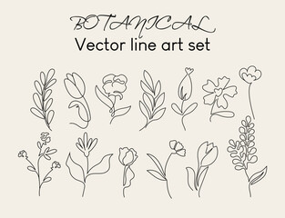 Botanical line art set. Floral handdrawn vector collection.