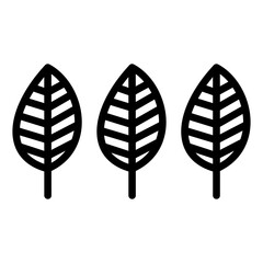 leaf icon isolated on white background, vector illustration