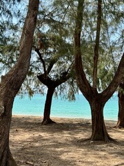 Vertical photo of beautiful sea view through the trees at Thailand beach.