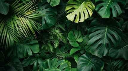 Foto op Canvas Discover the enchanting lush beauty of nature leaves in a green tropical forest © Irfanan