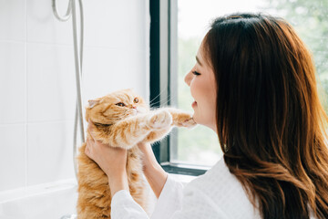 A clean and joyful bathroom scene, An adult woman lovingly holds her Scottish Fold cat during her...