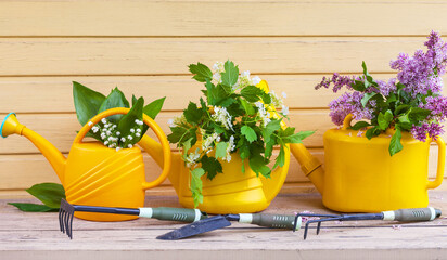 Garden still life with yellow watering cans and spring flowers of lilies of the valley, lilacs and viburnum on a garden bench. Gardening as a hobby, recreation and pleasure