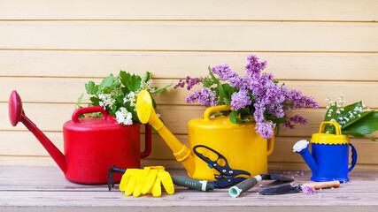 Three colorful garden watering cans with bouquets of spring flowers, tools, rubber gloves on wooden bench against background of gazebo wall. Rustic still life. Spring garden work concept