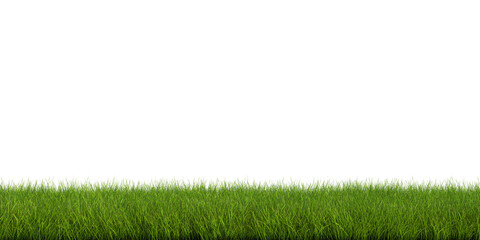 3d Render Brush Tree Isolated  on white